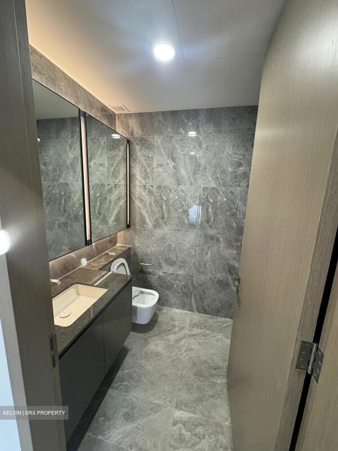 Leedon Green (D10), Condominium #517079281